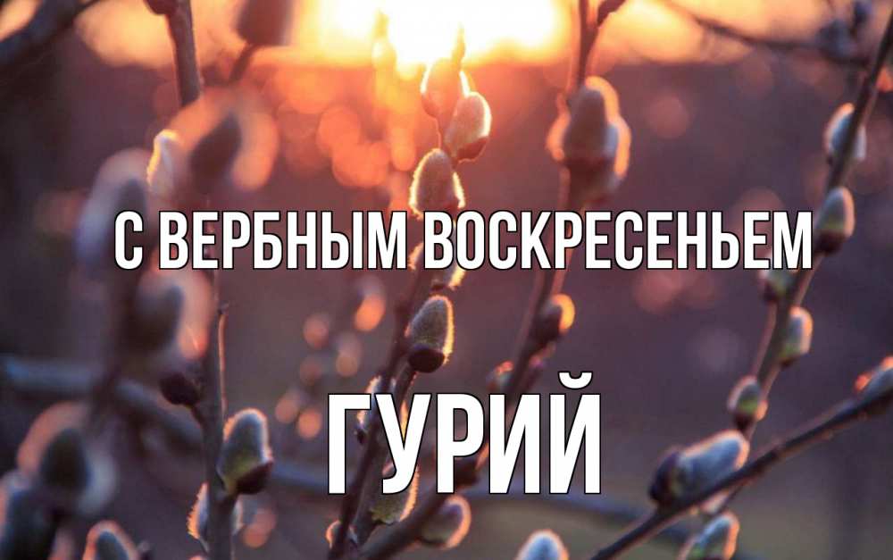 Открытка на каждый день с именем, Гурий С вербным воскресеньем верба Прикольная открытка с пожеланием онлайн скачать бесплатно 