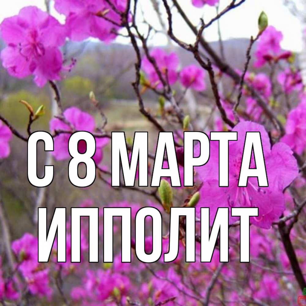 Открытка на каждый день с именем, Ипполит С 8 МАРТА международный женский день Прикольная открытка с пожеланием онлайн скачать бесплатно 