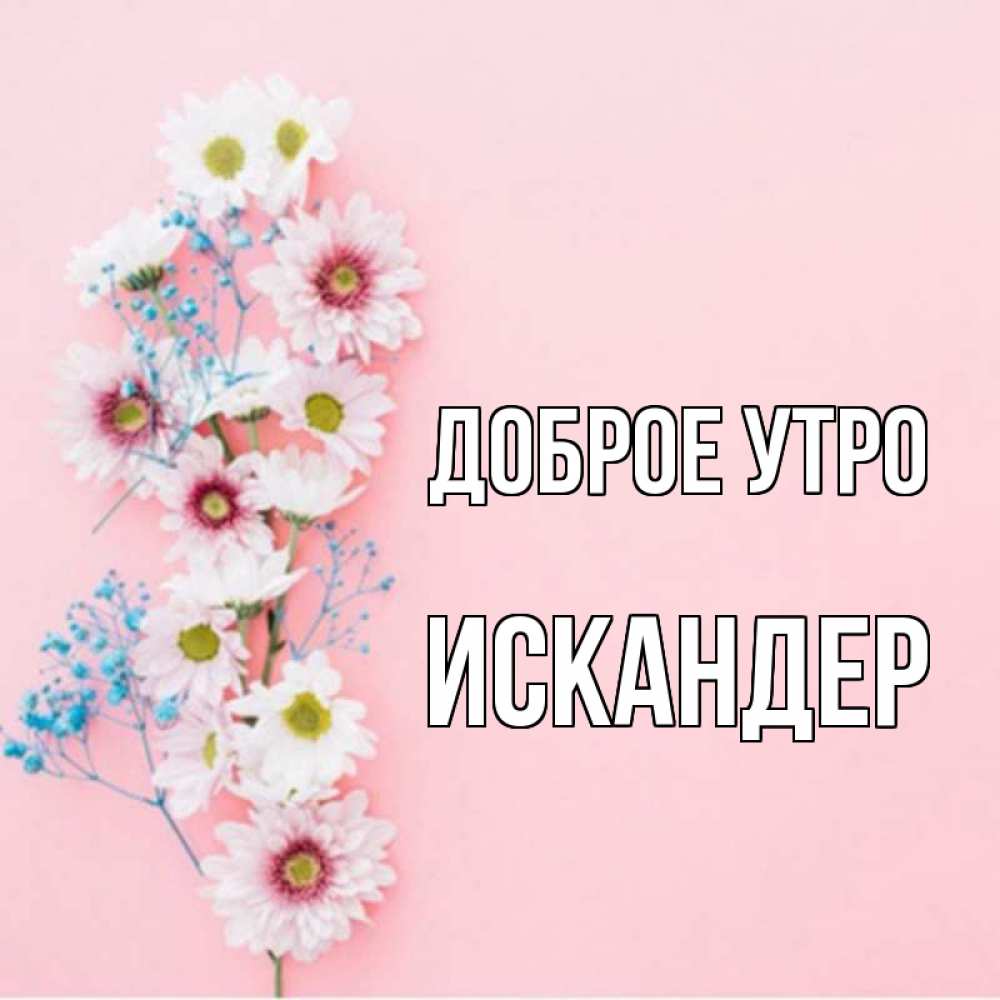 Открытка на каждый день с именем, Искандер Доброе утро цветы с подписью Прикольная открытка с пожеланием онлайн скачать бесплатно 