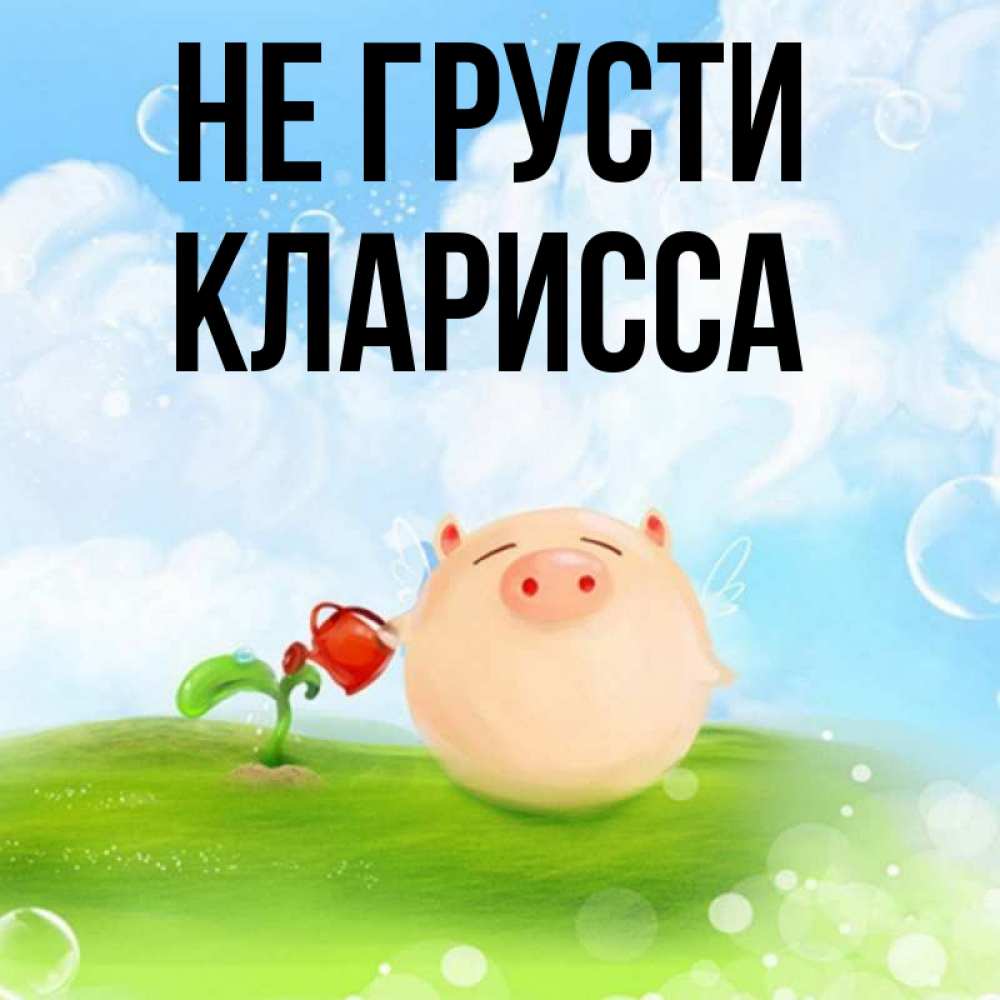 Открытка на каждый день с именем, Кларисса Не грусти поливает цветок порося Прикольная открытка с пожеланием онлайн скачать бесплатно 