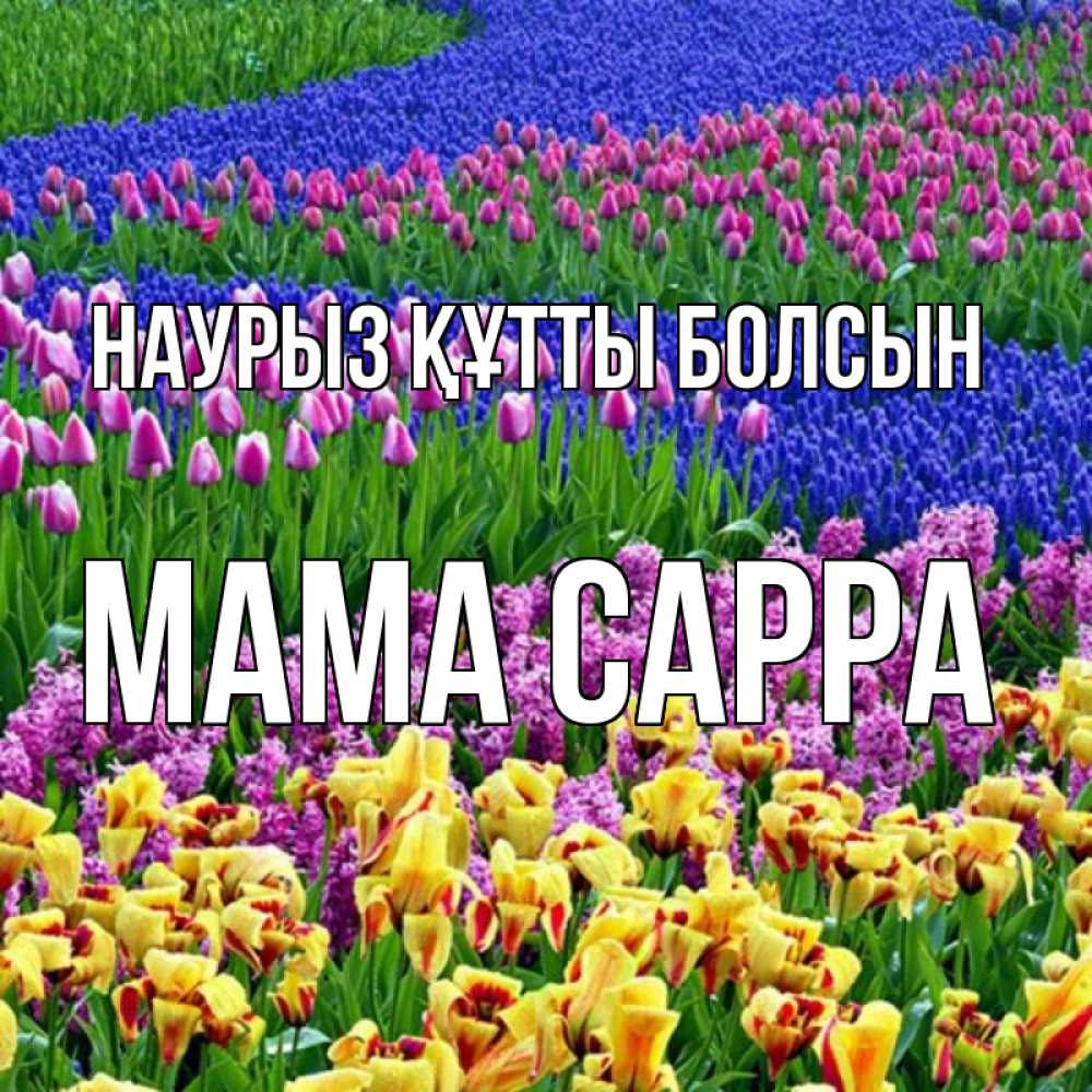Открытка на каждый день с именем, Мама-Сарра Наурыз құтты болсын цветы Прикольная открытка с пожеланием онлайн скачать бесплатно 