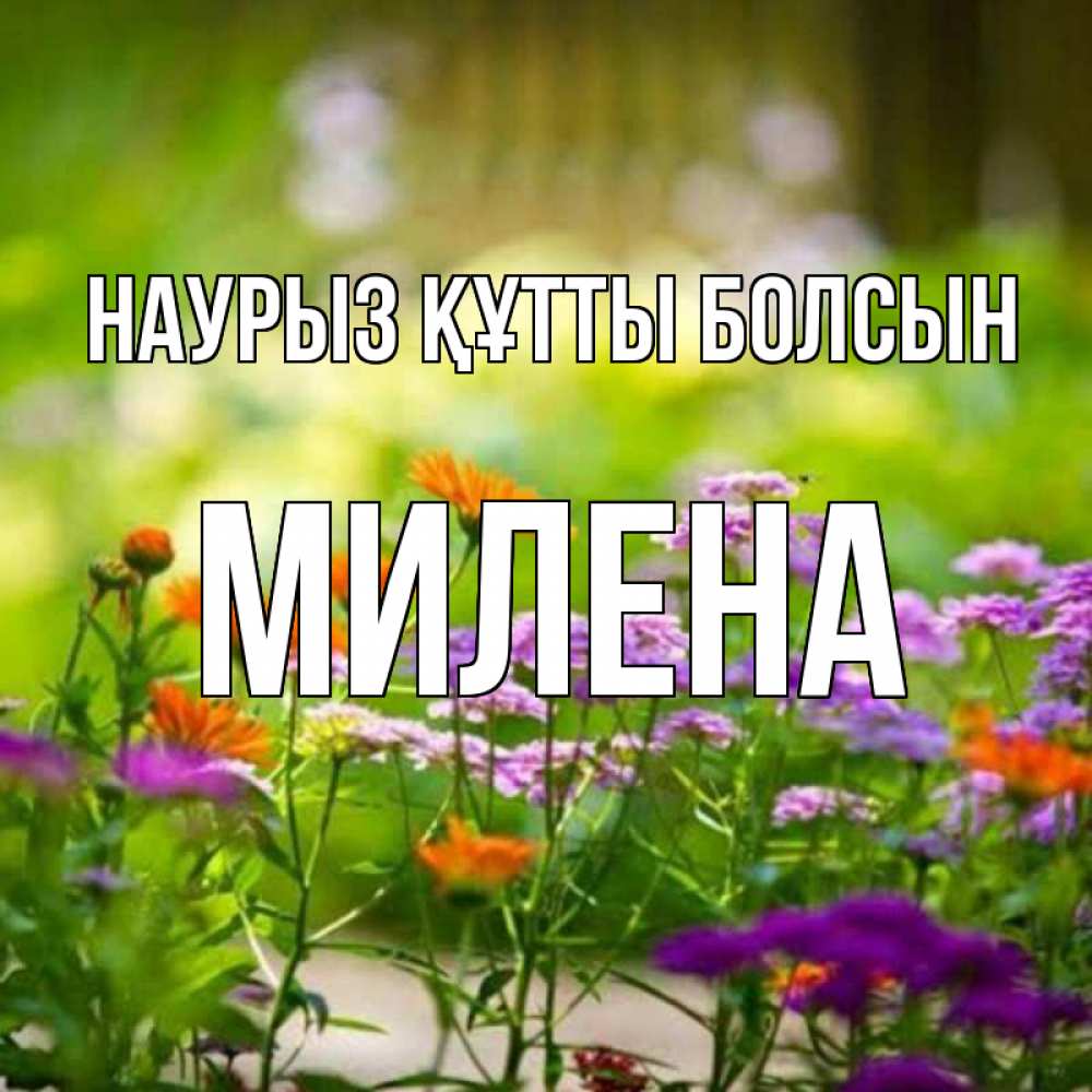 Открытка на каждый день с именем, Милена Наурыз құтты болсын цветы Прикольная открытка с пожеланием онлайн скачать бесплатно 