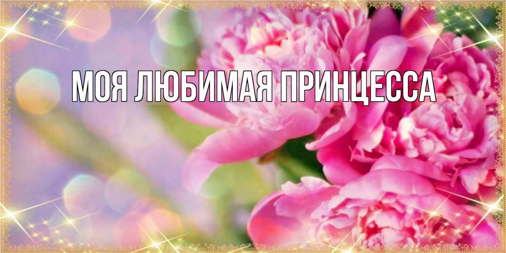Открытка на каждый день с именем, Моя-Любимая-Принцесса Главная красивые открытки с текстом для любимых дам Прикольная открытка с пожеланием онлайн скачать бесплатно 