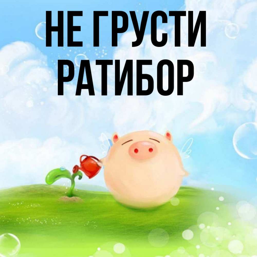 Открытка на каждый день с именем, Ратибор Не грусти поливает цветок порося Прикольная открытка с пожеланием онлайн скачать бесплатно 