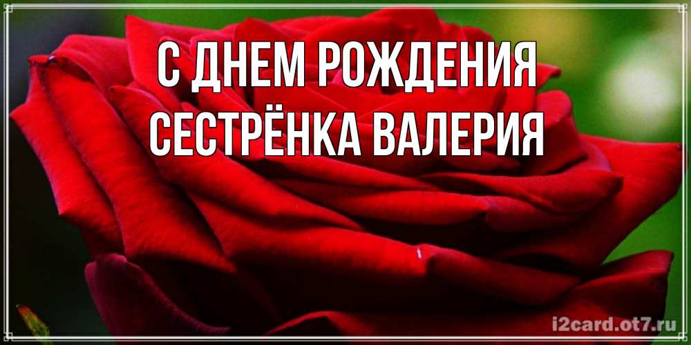 Открытка на каждый день с именем, Сестрёнка-Валерия С днем рождения розочка очень красивая Прикольная открытка с пожеланием онлайн скачать бесплатно 