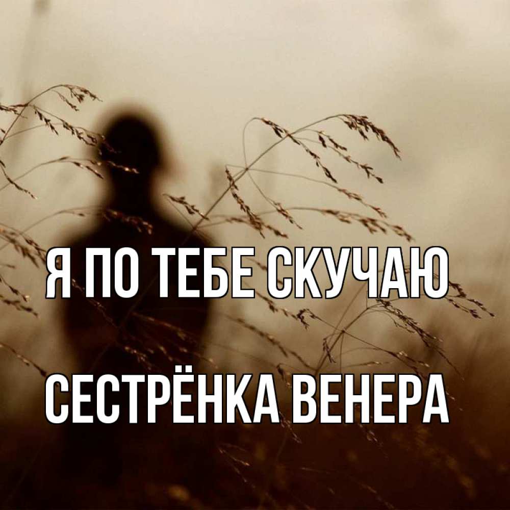 Открытка на каждый день с именем, Сестрёнка-Венера Я по тебе скучаю силуэт девушки Прикольная открытка с пожеланием онлайн скачать бесплатно 