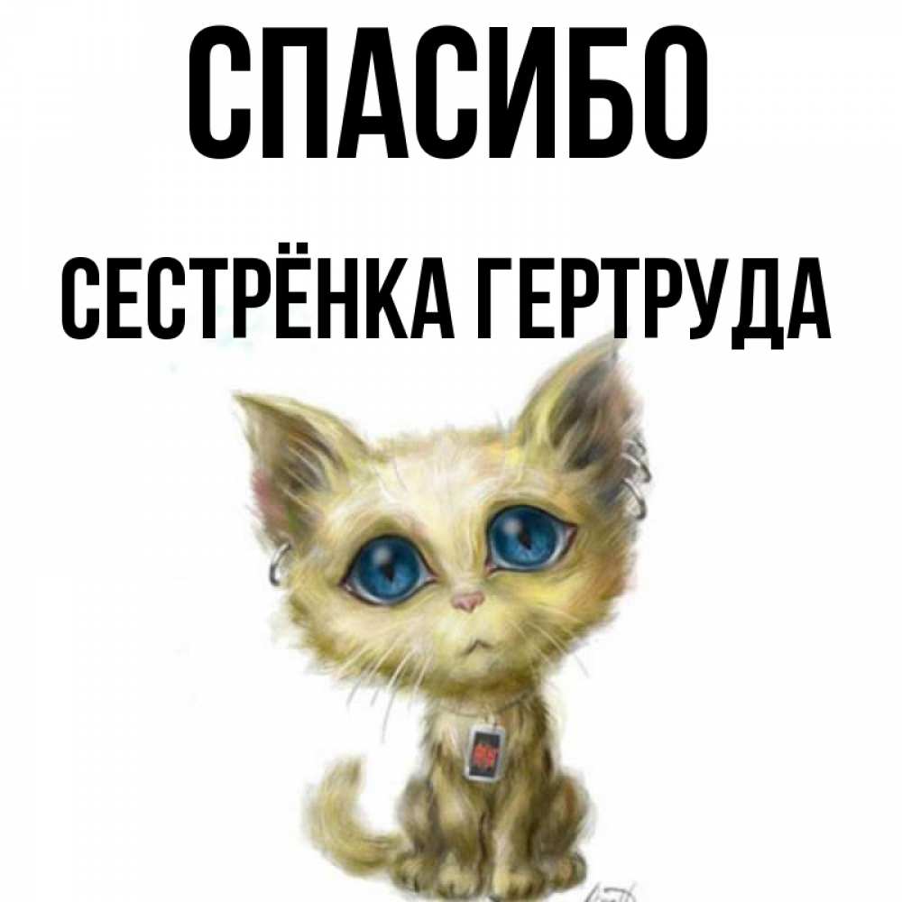 Открытка на каждый день с именем, Сестрёнка-Гертруда Спасибо рисованный кот благодарит вас Прикольная открытка с пожеланием онлайн скачать бесплатно 