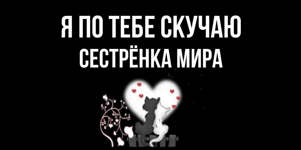 Открытка на каждый день с именем, Сестрёнка-Мира Я по тебе скучаю коты Прикольная открытка с пожеланием онлайн скачать бесплатно 
