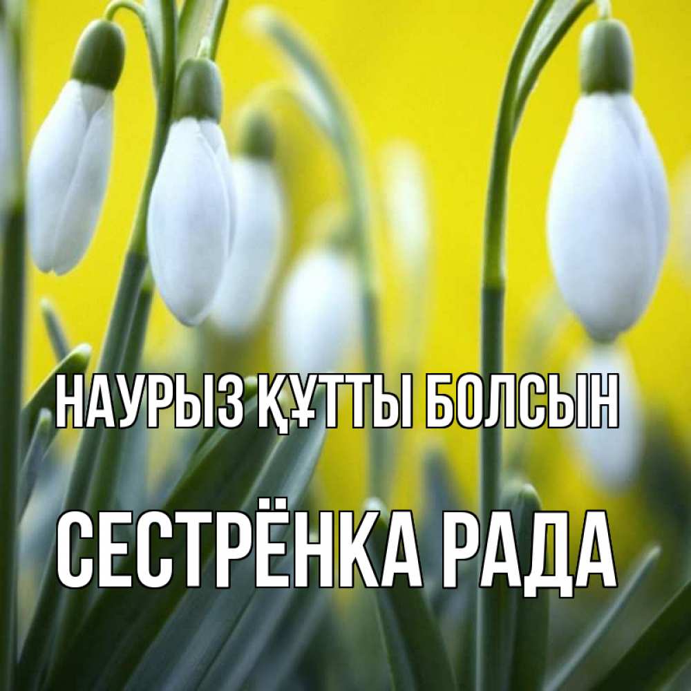 Открытка на каждый день с именем, Сестрёнка-Рада Наурыз құтты болсын весенние цветы Прикольная открытка с пожеланием онлайн скачать бесплатно 