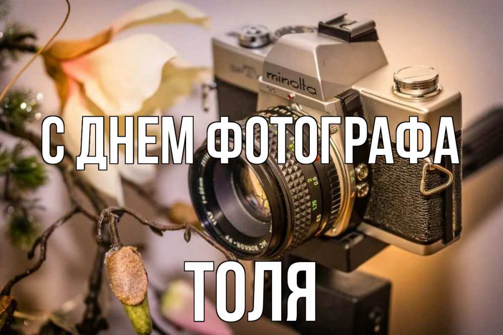 Открытка на каждый день с именем, Толя С днем фотографа с днем фотографа 1 Прикольная открытка с пожеланием онлайн скачать бесплатно 