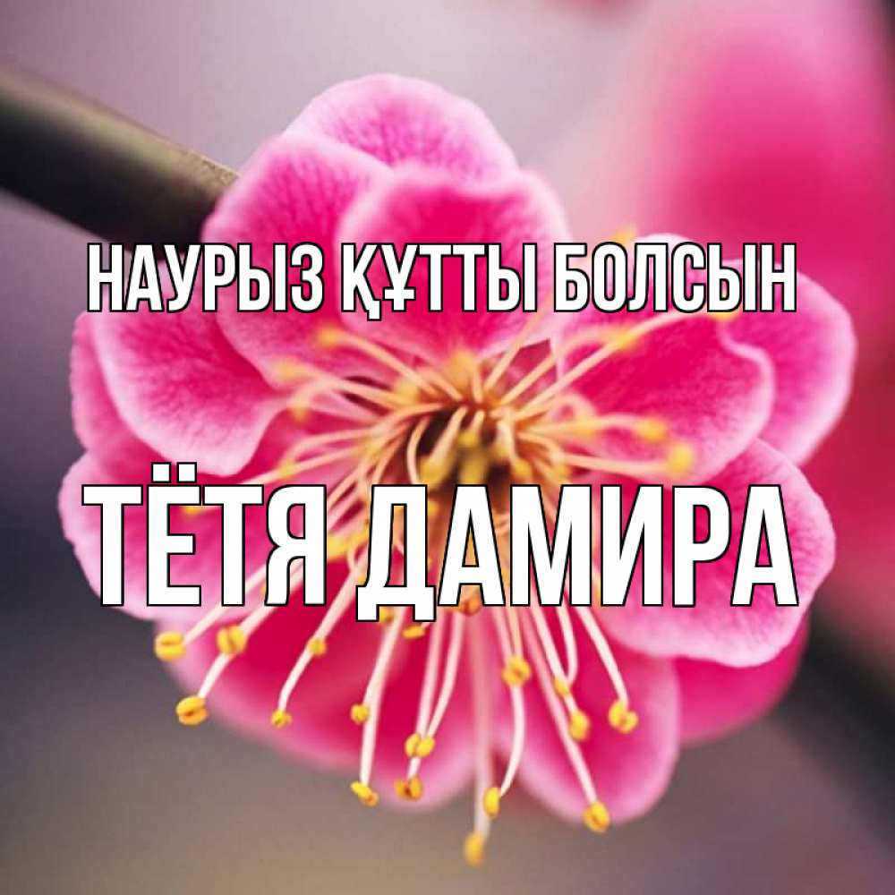 Картинка Наурыз құтты болсын, Тётя Дамира