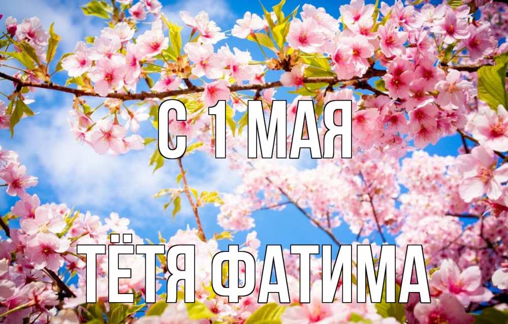 Открытка на каждый день с именем, Тётя-Фатима С 1 мая С 1 мая Прикольная открытка с пожеланием онлайн скачать бесплатно 