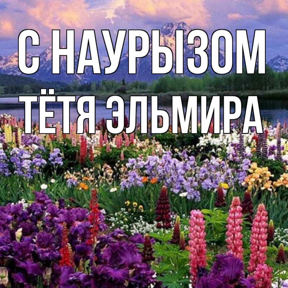 Открытка на каждый день с именем, Тётя-Эльмира С наурызом праздник весны наурыз Прикольная открытка с пожеланием онлайн скачать бесплатно 