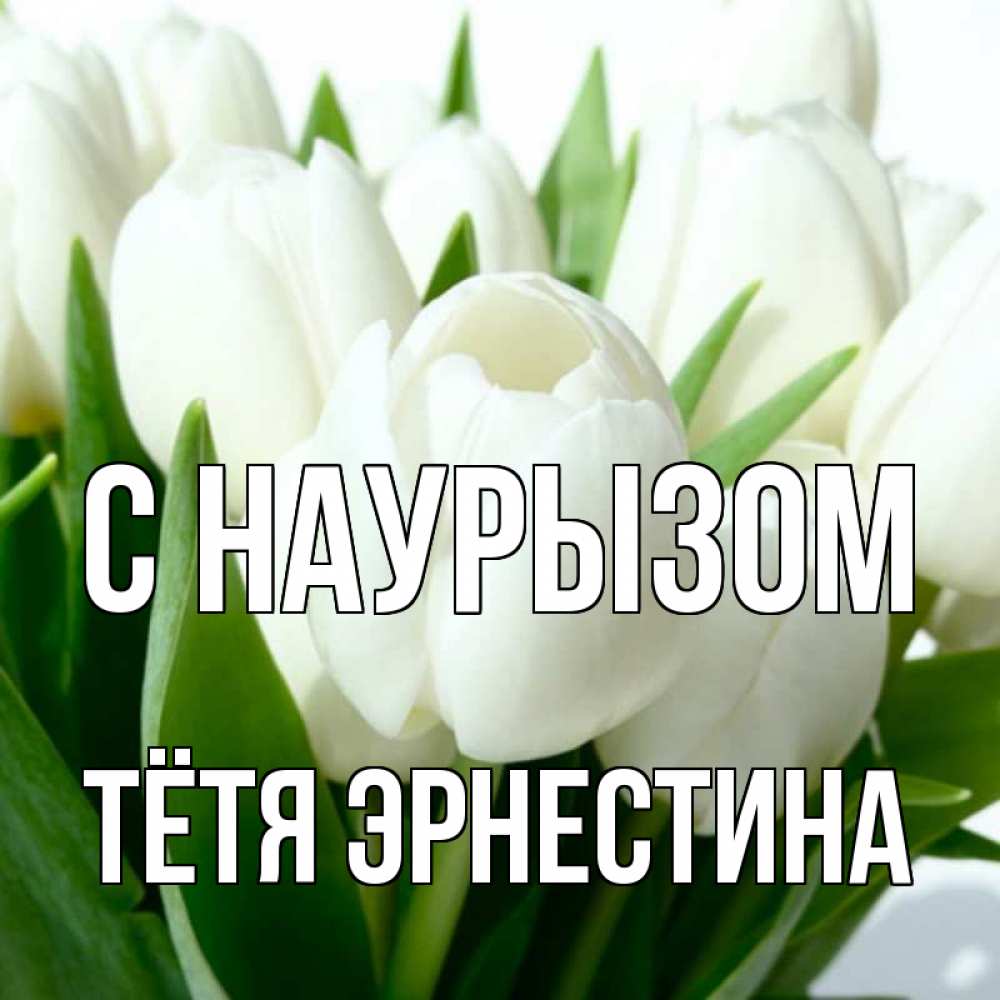Открытка на каждый день с именем, Тётя-Эрнестина С наурызом цветы Прикольная открытка с пожеланием онлайн скачать бесплатно 