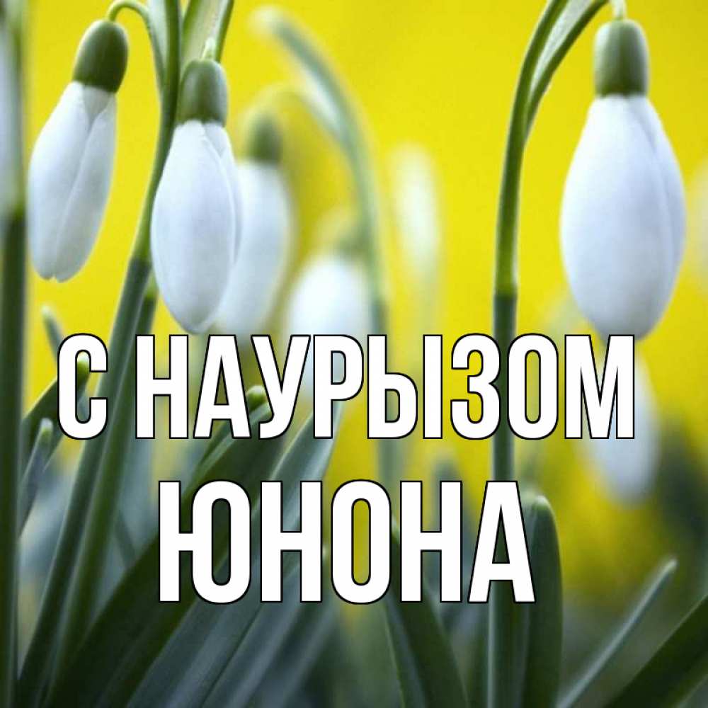 Открытка на каждый день с именем, Юнона С наурызом весенние цветы Прикольная открытка с пожеланием онлайн скачать бесплатно 