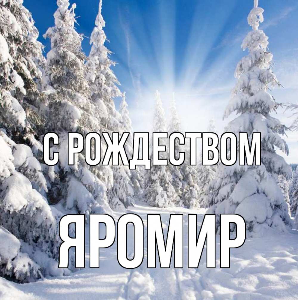 Открытка на каждый день с именем, Яромир С рождеством зима, лес Прикольная открытка с пожеланием онлайн скачать бесплатно 
