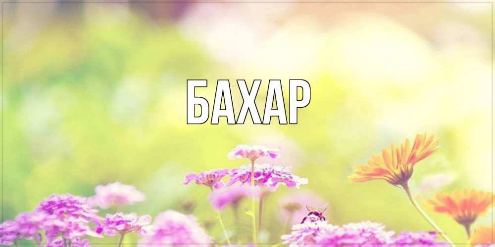 Открытка на каждый день с именем, Бахар Главная красивая открытка с летней темой Прикольная открытка с пожеланием онлайн скачать бесплатно 