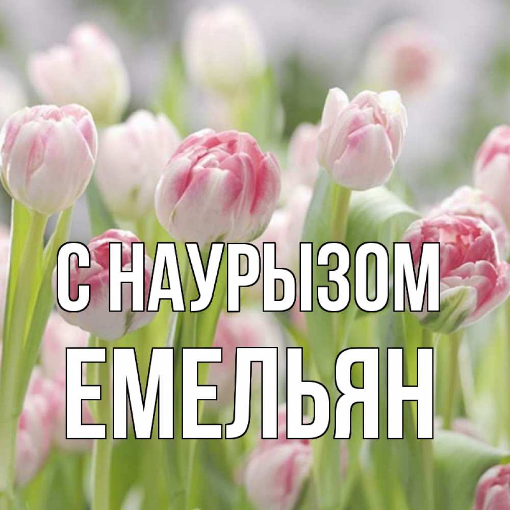 Открытка на каждый день с именем, Емельян С наурызом цветы Прикольная открытка с пожеланием онлайн скачать бесплатно 