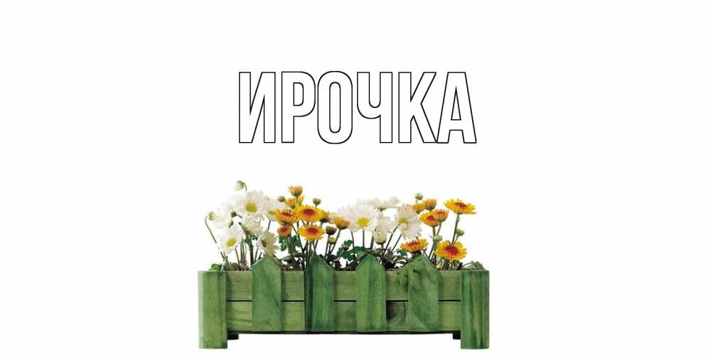 Картинка  с именем , ирочка