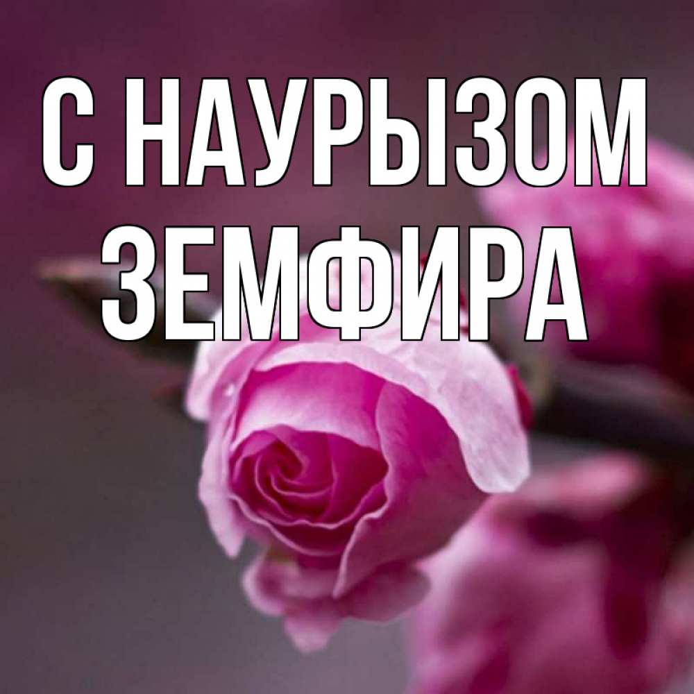 Открытка на каждый день с именем, Земфира С наурызом весна Прикольная открытка с пожеланием онлайн скачать бесплатно 