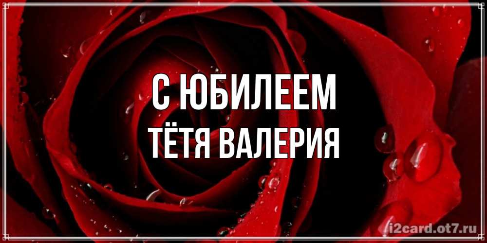 Открытка на каждый день с именем, Тётя-Валерия С юбилеем крупная бордовая роза Прикольная открытка с пожеланием онлайн скачать бесплатно 