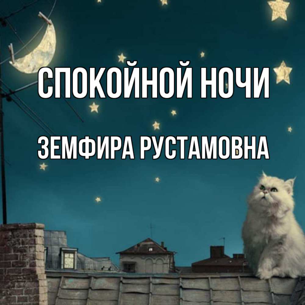 Открытка на каждый день с именем, Земфира-Рустамовна Спокойной ночи белый кот сидит на крыше Прикольная открытка с пожеланием онлайн скачать бесплатно 