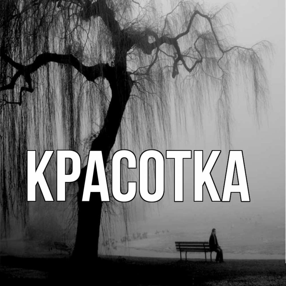 Открытка на каждый день с именем, красотка Главная лавочка под деревом я жду тебя Прикольная открытка с пожеланием онлайн скачать бесплатно 