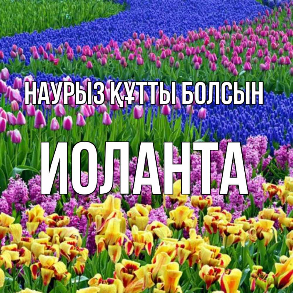 Открытка на каждый день с именем, Иоланта Наурыз құтты болсын цветы Прикольная открытка с пожеланием онлайн скачать бесплатно 