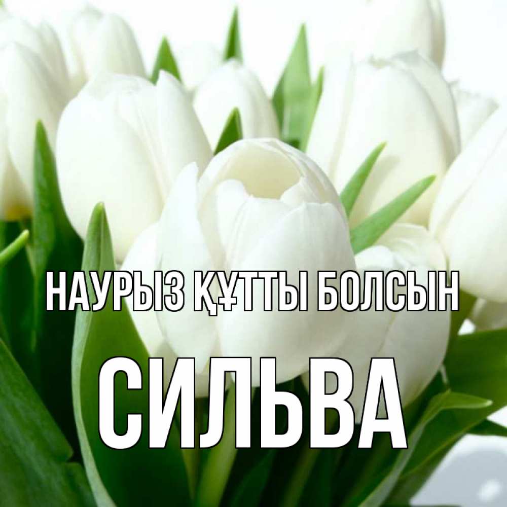 Открытка на каждый день с именем, Сильва Наурыз құтты болсын цветы Прикольная открытка с пожеланием онлайн скачать бесплатно 