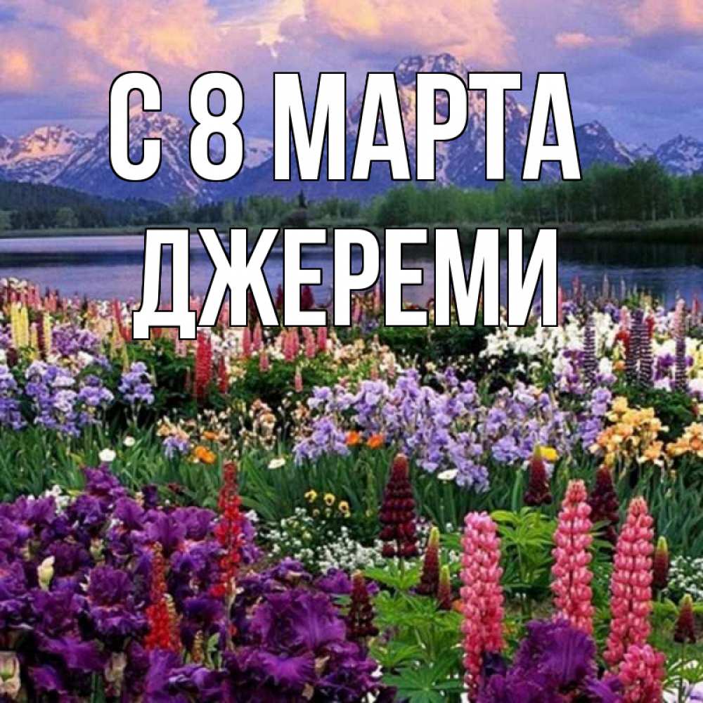 Картинка С 8 МАРТА, Джереми