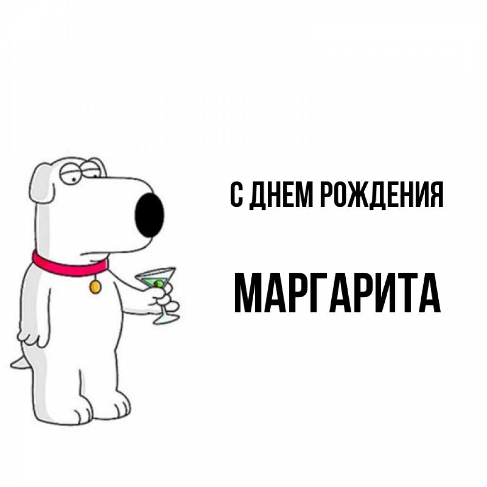 Открытка на каждый день с именем, маргарита С днем рождения песик с оливками Прикольная открытка с пожеланием онлайн скачать бесплатно 