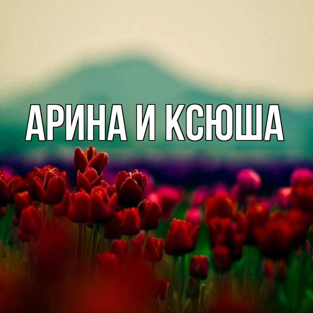 Открытка на каждый день с именем, Арина-и-Ксюша Главная тюльпаны 4 Прикольная открытка с пожеланием онлайн скачать бесплатно 
