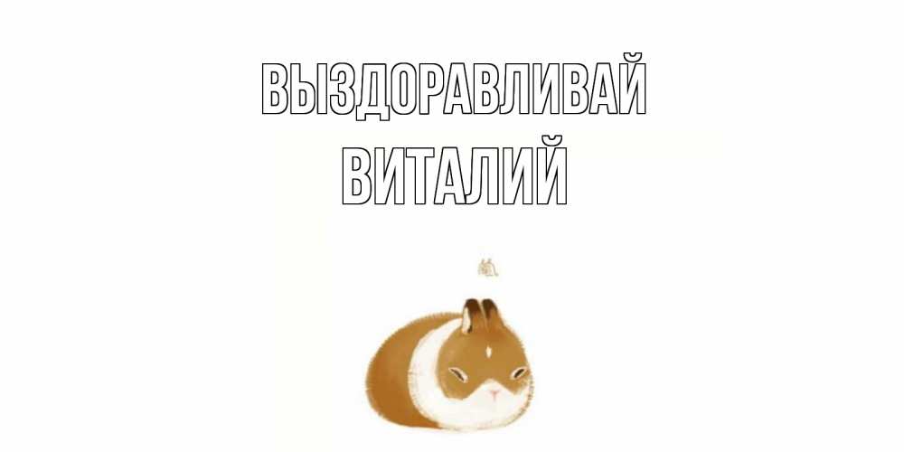 Открытка на каждый день с именем, Виталий Выздоравливай морская свинка на открытке с пожеланиями не болеть Прикольная открытка с пожеланием онлайн скачать бесплатно 