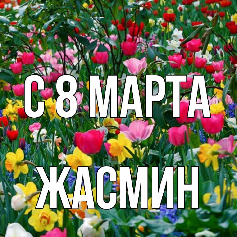 Открытка на каждый день с именем, Жасмин С 8 марта с международным женским днем поздравления для женщины Прикольная открытка с пожеланием онлайн скачать бесплатно 