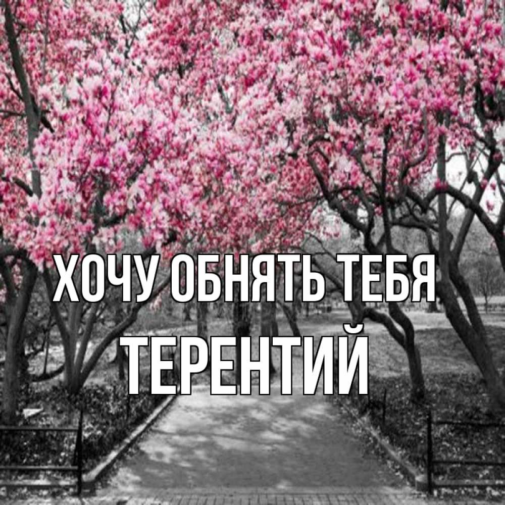 Открытка на каждый день с именем, Терентий Хочу обнять тебя обработанное фото Прикольная открытка с пожеланием онлайн скачать бесплатно 
