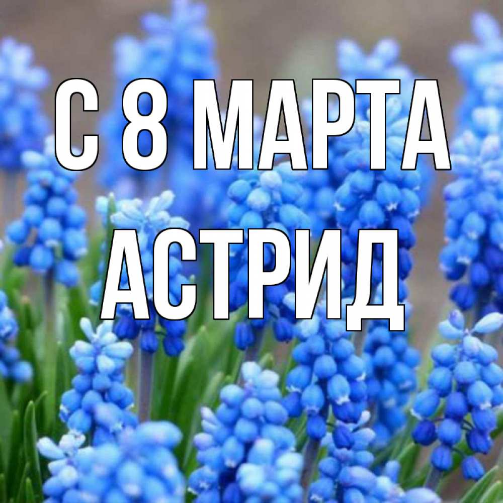 Открытка на каждый день с именем, Астрид С 8 марта Поздравительная открытка для женщин с цветами на праздничную дату Прикольная открытка с пожеланием онлайн скачать бесплатно 