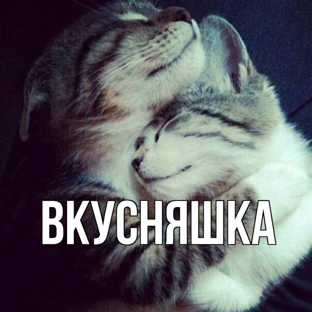 Открытка на каждый день с именем, Вкусняшка Главная полосатики Прикольная открытка с пожеланием онлайн скачать бесплатно 