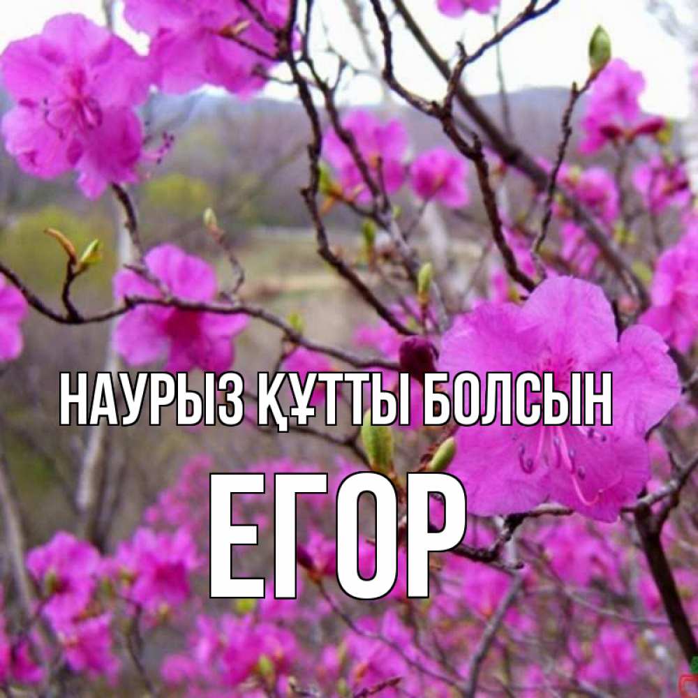 Открытка на каждый день с именем, Егор Наурыз құтты болсын наурыз мейрамы кутты болсын Прикольная открытка с пожеланием онлайн скачать бесплатно 