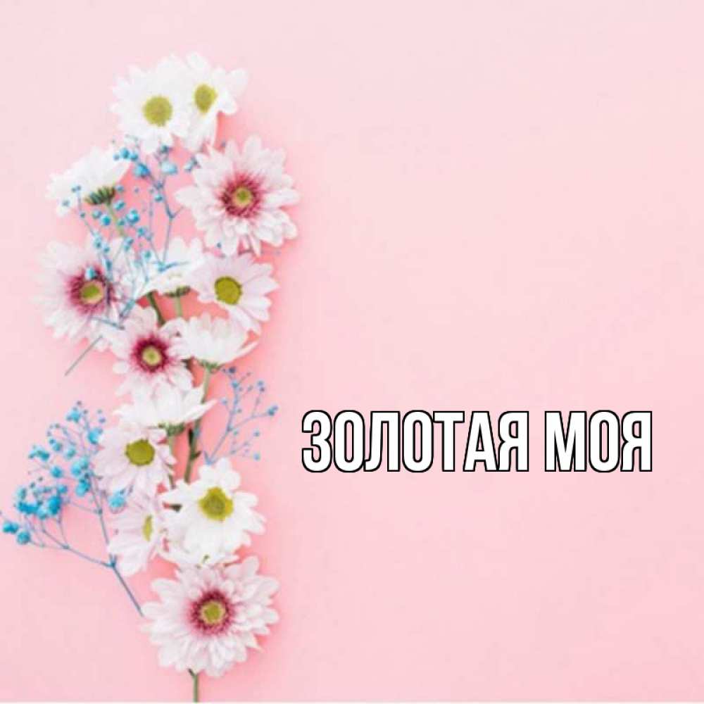 Айза С Днем Рождения