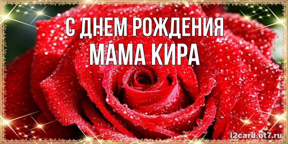 Открытка на каждый день с именем, Мама-Кира С днем рождения роса и роза. открытка с красивой розой Прикольная открытка с пожеланием онлайн скачать бесплатно 