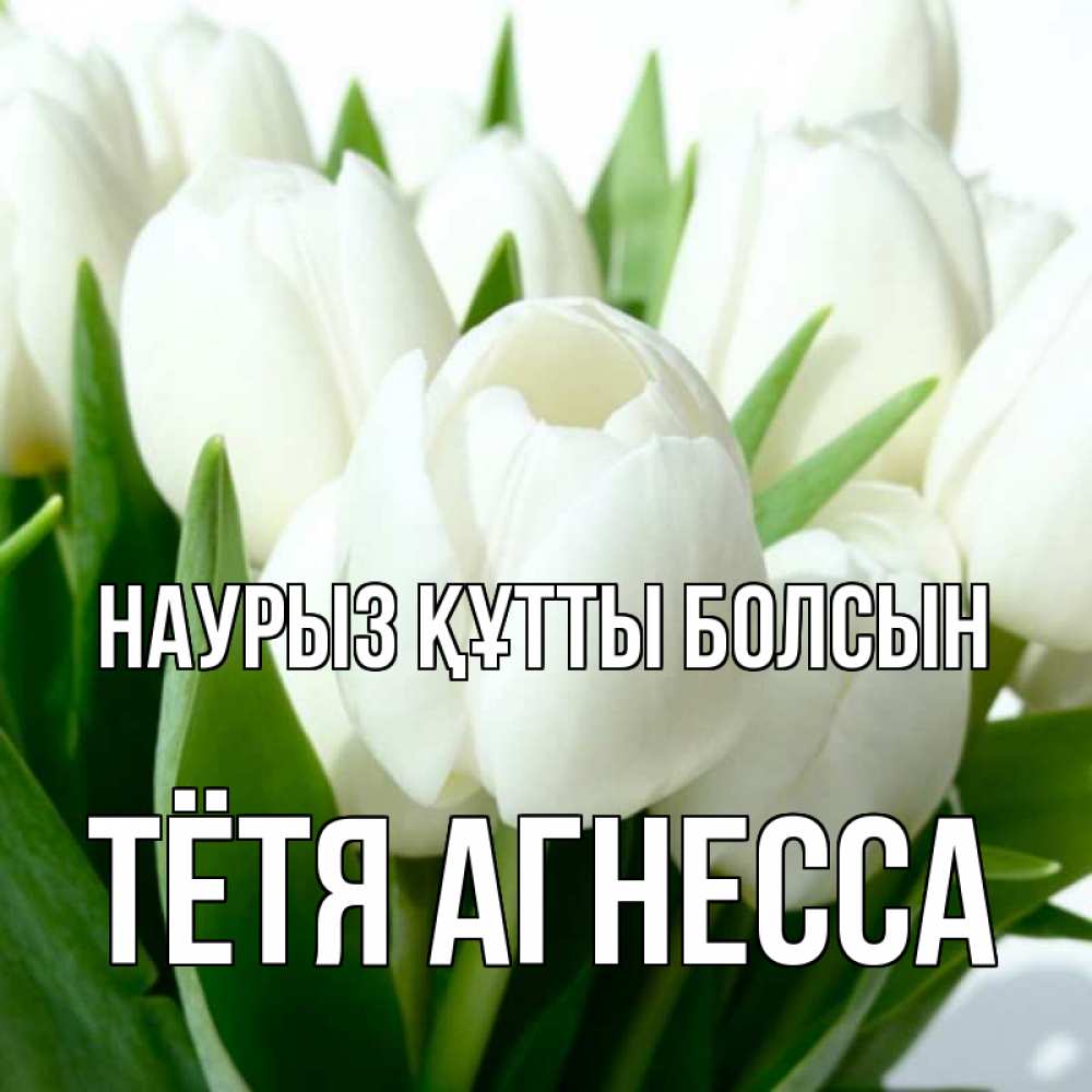 Открытка на каждый день с именем, Тётя-Агнесса Наурыз құтты болсын цветы Прикольная открытка с пожеланием онлайн скачать бесплатно 