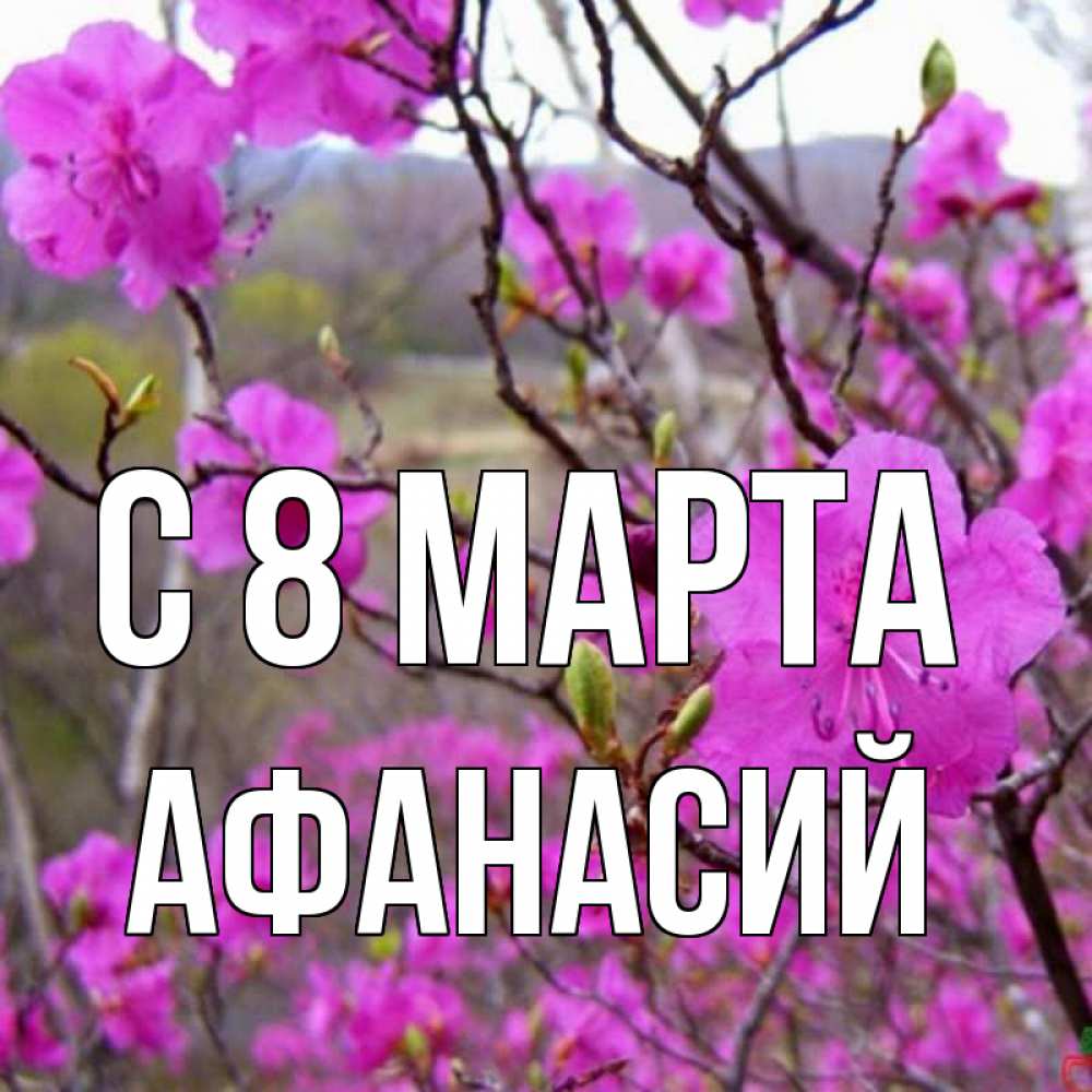 Открытка на каждый день с именем, Афанасий С 8 МАРТА международный женский день Прикольная открытка с пожеланием онлайн скачать бесплатно 