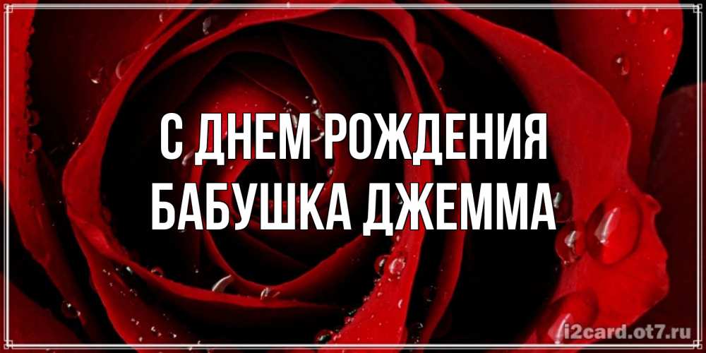 Открытка на каждый день с именем, Бабушка-Джемма С днем рождения крупная бордовая роза Прикольная открытка с пожеланием онлайн скачать бесплатно 
