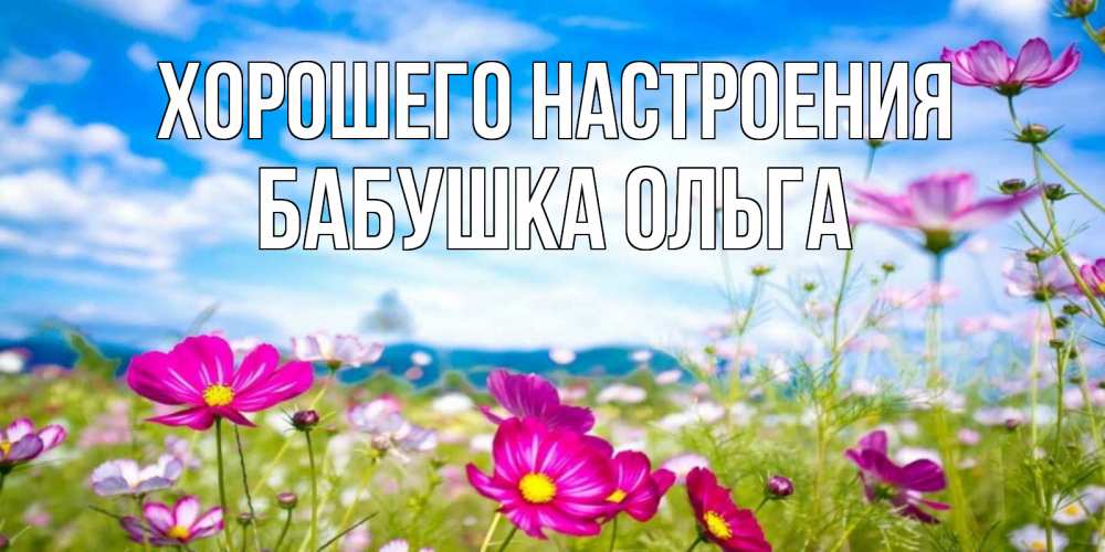 Открытка на каждый день с именем, Бабушка-Ольга Хорошего настроения поле цветов Прикольная открытка с пожеланием онлайн скачать бесплатно 