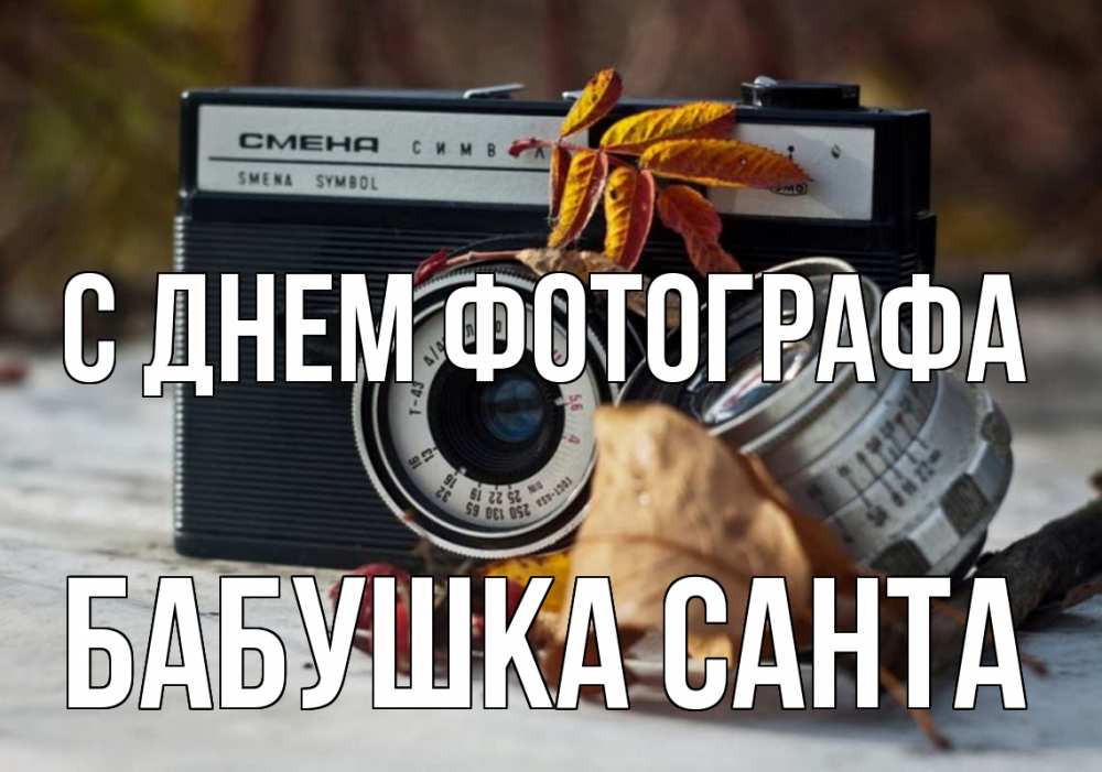 Открытка на каждый день с именем, Бабушка-Санта С днем фотографа с днем фотографа Прикольная открытка с пожеланием онлайн скачать бесплатно 