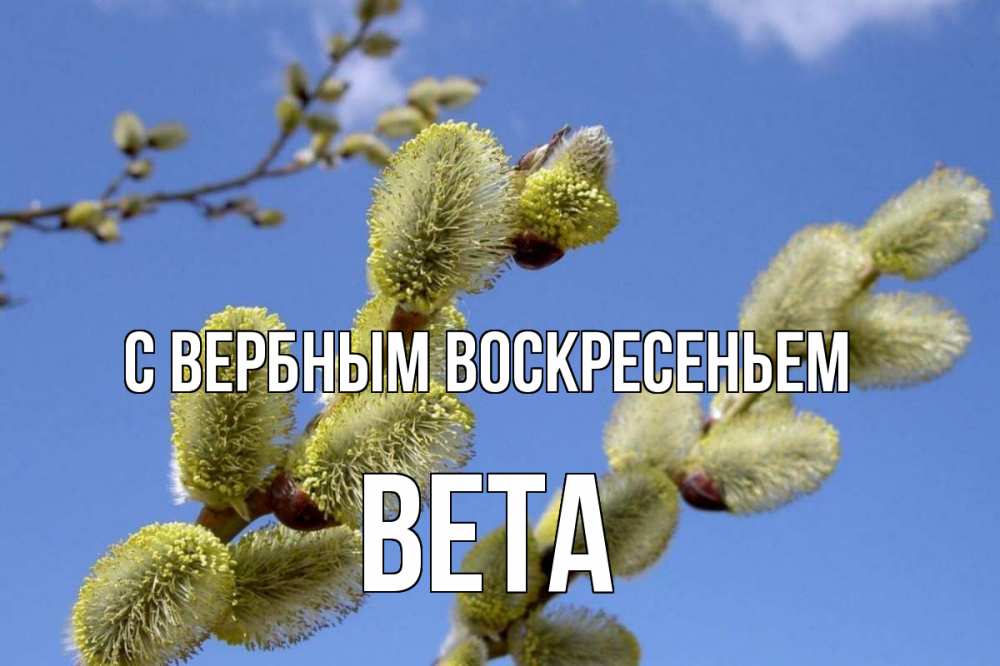 Открытка на каждый день с именем, Вета С вербным воскресеньем верба Прикольная открытка с пожеланием онлайн скачать бесплатно 