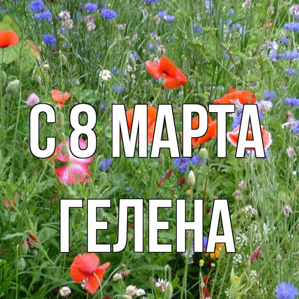 Открытка на каждый день с именем, Гелена С 8 марта международный женский день 4 Прикольная открытка с пожеланием онлайн скачать бесплатно 