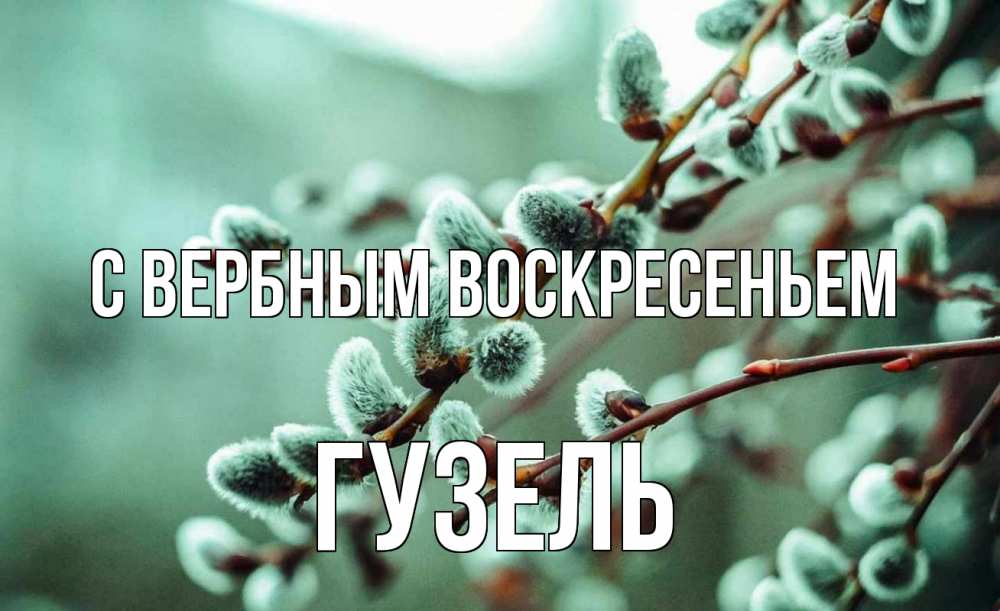 Открытка на каждый день с именем, Гузель С вербным воскресеньем верба Прикольная открытка с пожеланием онлайн скачать бесплатно 
