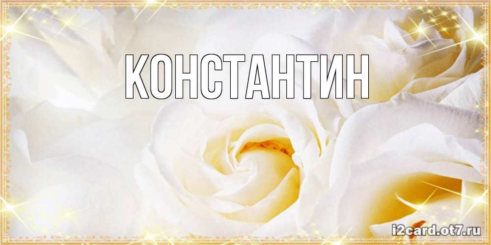 Открытка на каждый день с именем, Константин Главная красивые розы и капли росы на этих чудесных цветах Прикольная открытка с пожеланием онлайн скачать бесплатно 