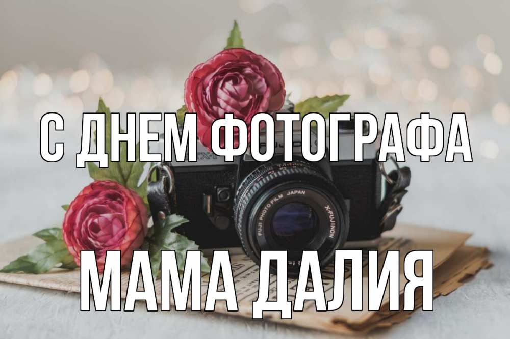 Открытка на каждый день с именем, Мама-Далия С днем фотографа с днем фотографа Прикольная открытка с пожеланием онлайн скачать бесплатно 